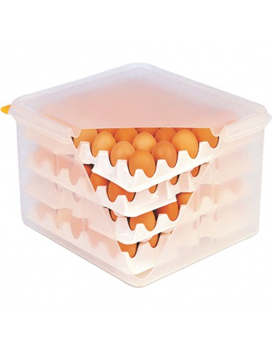 Pojemnik na jajka z 8 tacami | Stalgast 061500